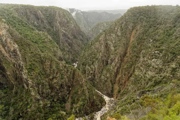 Wollomombi Falls (30)